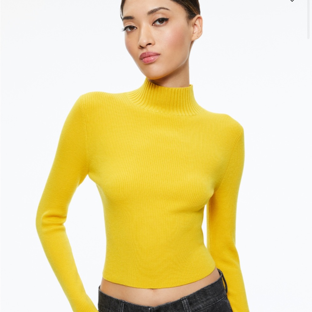 Alice & Olivia Senaida Cropped Mock-neck Pullover Top